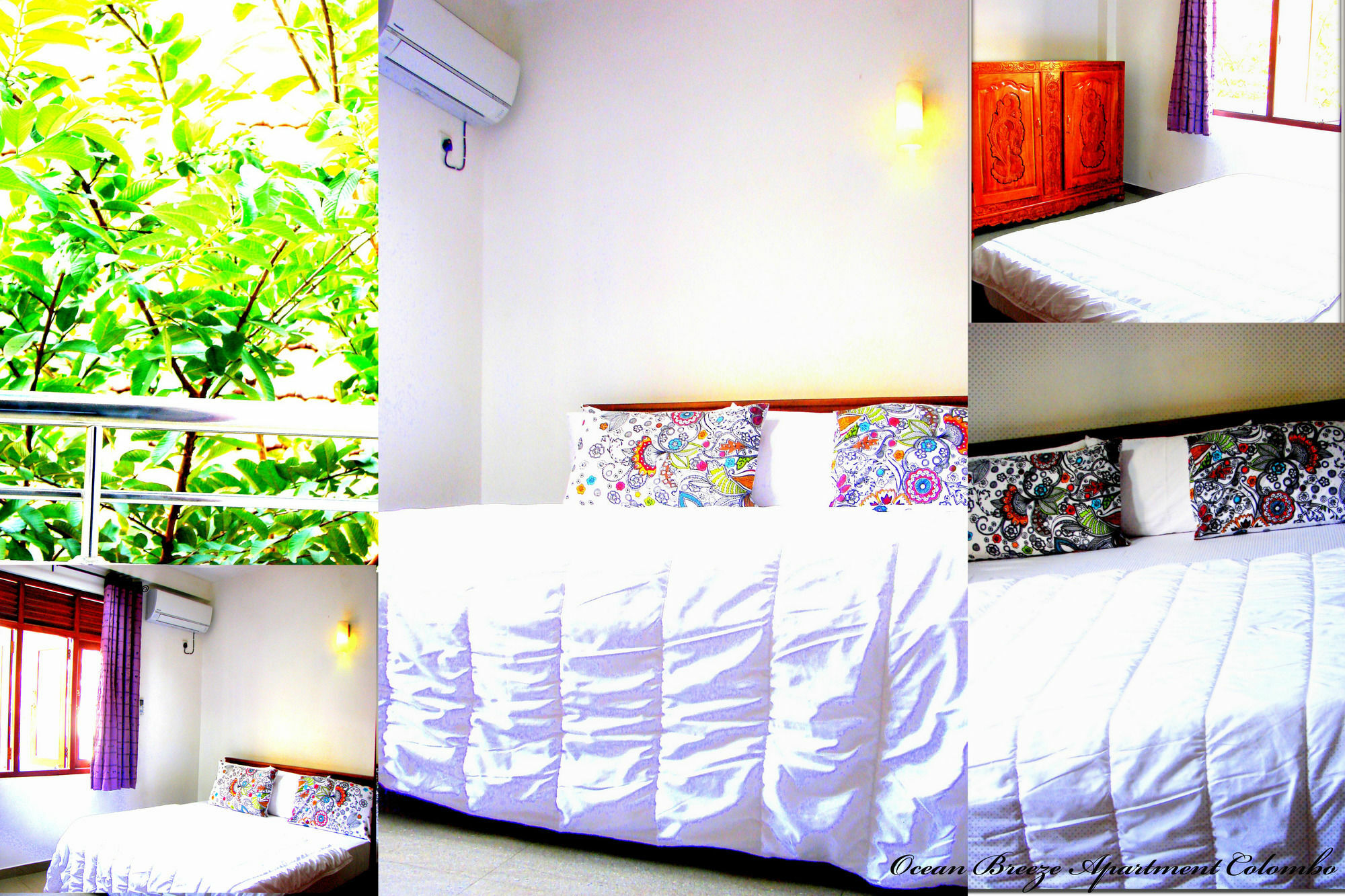 Ocean Breeze * Colombo